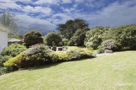 Property photo of 11 Cedmar Avenue Highton VIC 3216