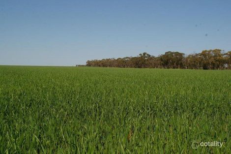 951 Talleeban Rd, Weethalle, NSW 2669