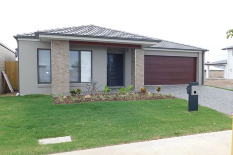 17 Comanche St, Newport, QLD 4020