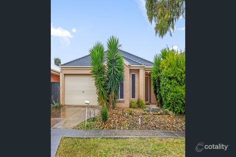 16 Cardinia Gr, Manor Lakes, VIC 3024
