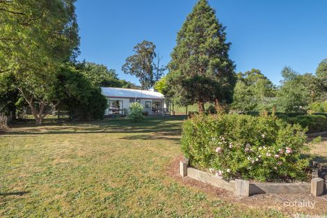 Property photo of 12 Steavenson Road Buxton VIC 3711