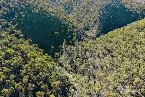 Property photo of 94 Oakey Forest Road Marrangaroo NSW 2790