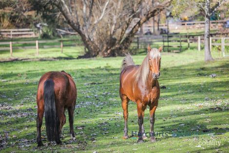 319 Strathalbyn Rd, Mylor, SA 5153