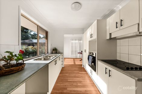 Property photo of 25 Roseash Crescent Noosaville QLD 4566