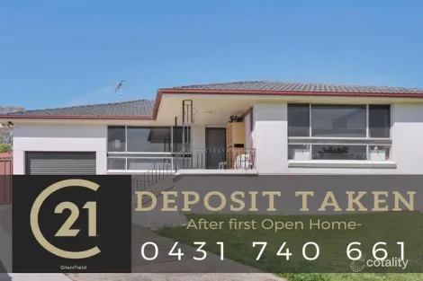 6 Ray Pl, Minto, NSW 2566