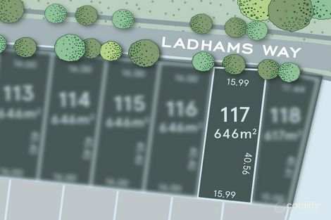 117 Ladhams Way, Maddingley, VIC 3340