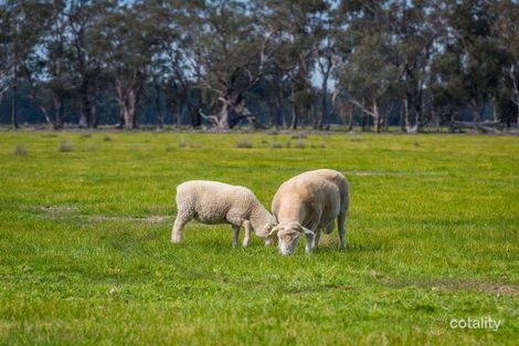 Property photo of 184 Dookie-Violet Town Road Violet Town VIC 3669