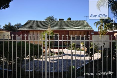 Property photo of 31 Bellinger Road Elizabeth East SA 5112