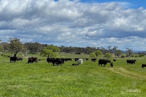 1170 Euradux Rd, Durran Durra, NSW 2622