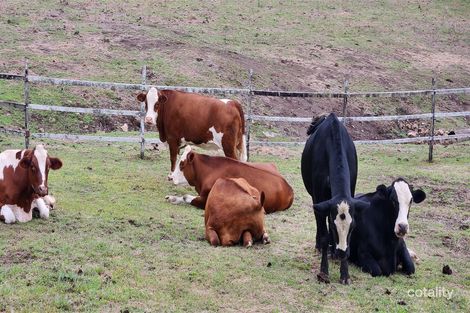 Property photo of 86 Atkinson Road Kiamba QLD 4560