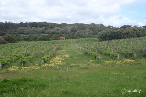 Property photo of 53 Abbeys Farm Road Yallingup WA 6282