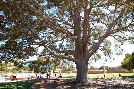 Property photo of 24 Tonkin Boulevard Margaret River WA 6285