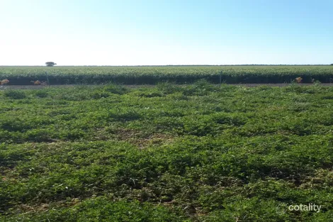 4355 NEWELL HWY, WIRRINYA, NSW 2871