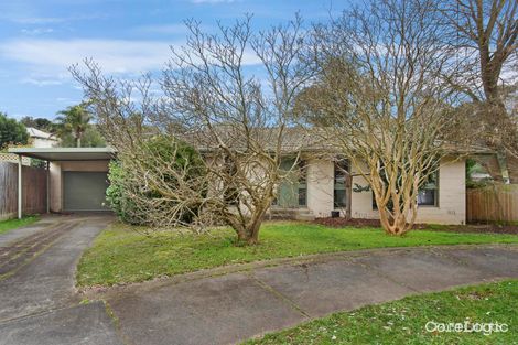 Property photo of 35 Lincoln Avenue Mont Albert North VIC 3129