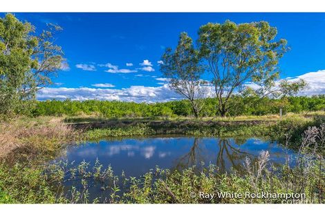 Property photo of 89 Emu Park Road Nerimbera QLD 4701