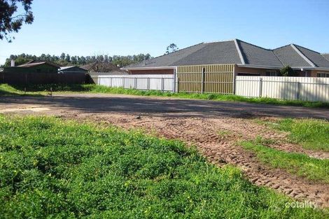 Property photo of 7 Ramsey Street Netley SA 5037