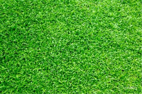 Property photo of 8 Kiwi Crescent Cranbourne South VIC 3977