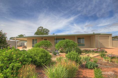 Property photo of 17138 Sturt Highway Barmera SA 5345