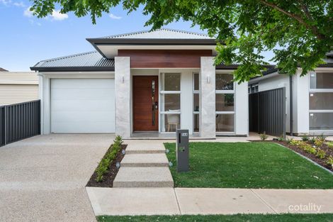 Property photo of 54 Alexander Avenue Campbelltown SA 5074