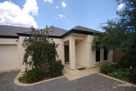 Property photo of 46A Shelley Street Firle SA 5070