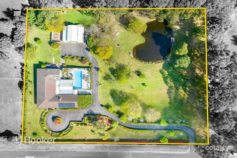 3 Wood Rd, Denham Court, NSW 2565