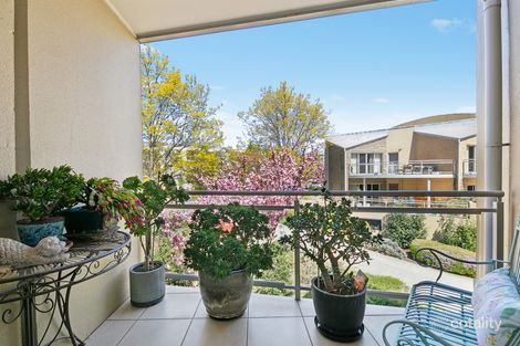 51/20 Beissel St, Belconnen, ACT 2617