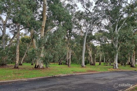Property photo of 16 Shannon Rise Banksia Park SA 5091