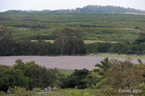 Property photo of 661 Yakapari-Seaforth Road Mount Jukes QLD 4740