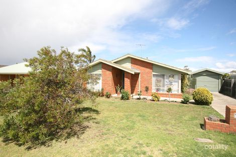 17 Lino Ct, Whittington, VIC 3219