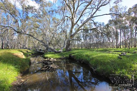 Property photo of 33 Mills Road Eppalock VIC 3551