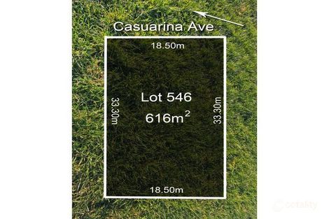 50 Casuarina Ave, Torquay, VIC 3228