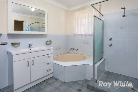 Property photo of 20 Dryberry Avenue St Clair NSW 2759