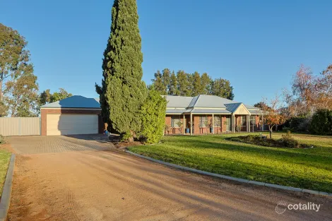 Property photo of 19 Stockmans Drive Irymple VIC 3498