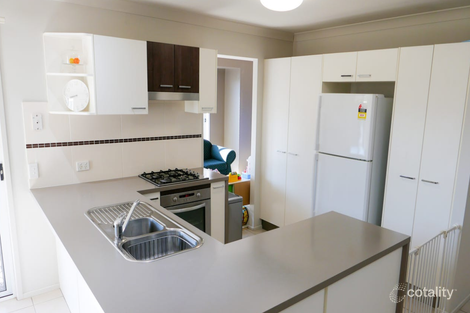 Property photo of 82 Waterlily Circuit Carseldine QLD 4034