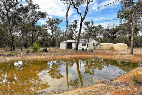 6 Pacific Haven Cct, Pacific Haven, QLD 4659