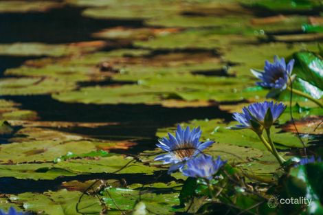 60 Red Gully Rd, Burrell Creek, NSW 2429