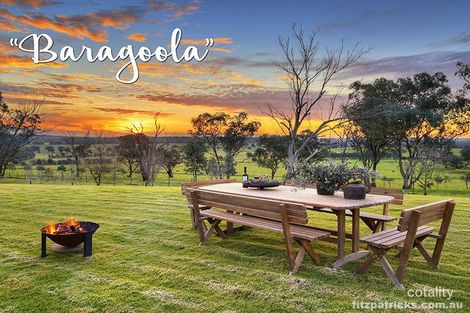 246 River Rd, Alfredtown, NSW 2650