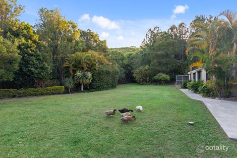Property photo of 37 Fordyce Close Currumbin Valley QLD 4223