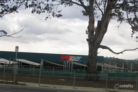 259 Middleborough Rd, Box Hill South, VIC 3128