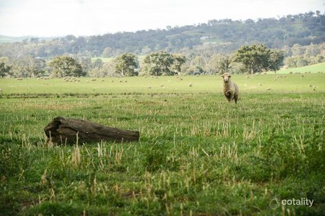 Property photo of 6/248 Back Brawlin Road Cootamundra NSW 2590
