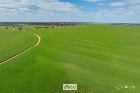 1319 Yanga Way, Kyalite, NSW 2715
