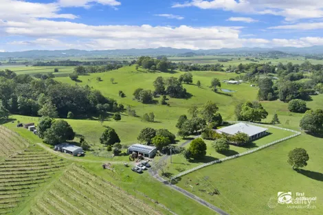 Property photo of 1283 Urliup Road Urliup NSW 2484