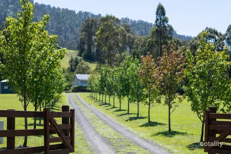 Property photo of 404 Duffys Lane Kangaroo Valley NSW 2577