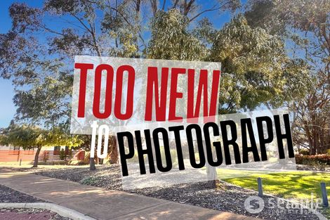 2 Colt Lane, Baldivis, WA 6171