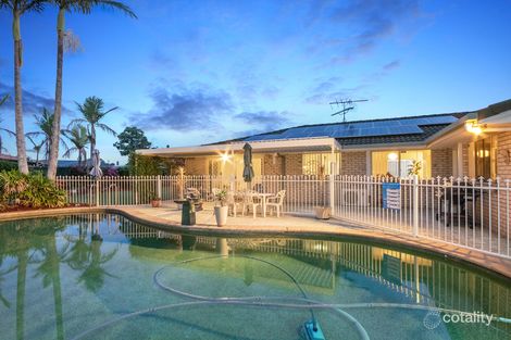 Property photo of 183 Pascoe Road Ormeau QLD 4208
