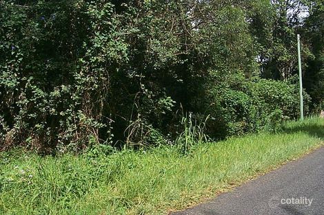 43 Lyrebird Ridge Rd, Springbrook, QLD 4213