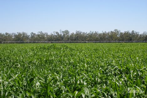 108 Gunnings Rd, Warroo, NSW 2871