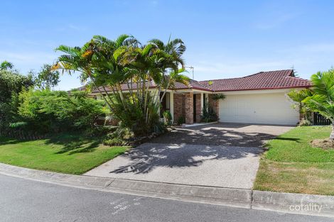 93 Saffron St, Elanora, QLD 4221