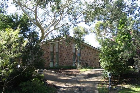 2/16 Eden Dr, Asquith, NSW 2077