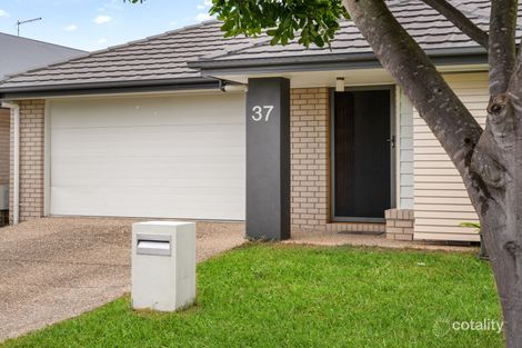 Property photo of 37 Dandelion Street Griffin QLD 4503